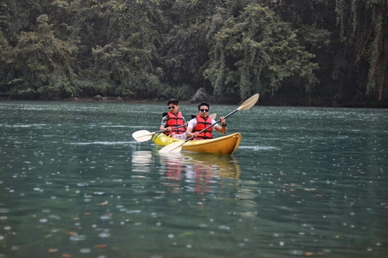 DANDELI